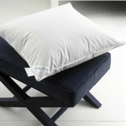 De Witte Lietaer Hoofdkussen Dream - 50 X 70 Cm - Polyestervulling -Cinderella Winkel 1000009361 0103