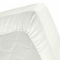 Cinderella Winkel -Cinderella Winkel 1000030130 0101