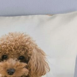 Good Morning Dekbedovertrek "Cute" - Zand - (140x220 Cm) -Cinderella Winkel 1000067966 0102