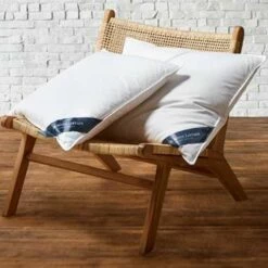 De Witte Lietaer Kussen Ducky - 60 X 70 Cm - Donsvulling -Cinderella Winkel 1163069466 0103