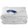 De Witte Lietaer Dekbed Ducky - Hotelmaat - 260 X 240 Cm - Donsvulling -Cinderella Winkel 1607299189