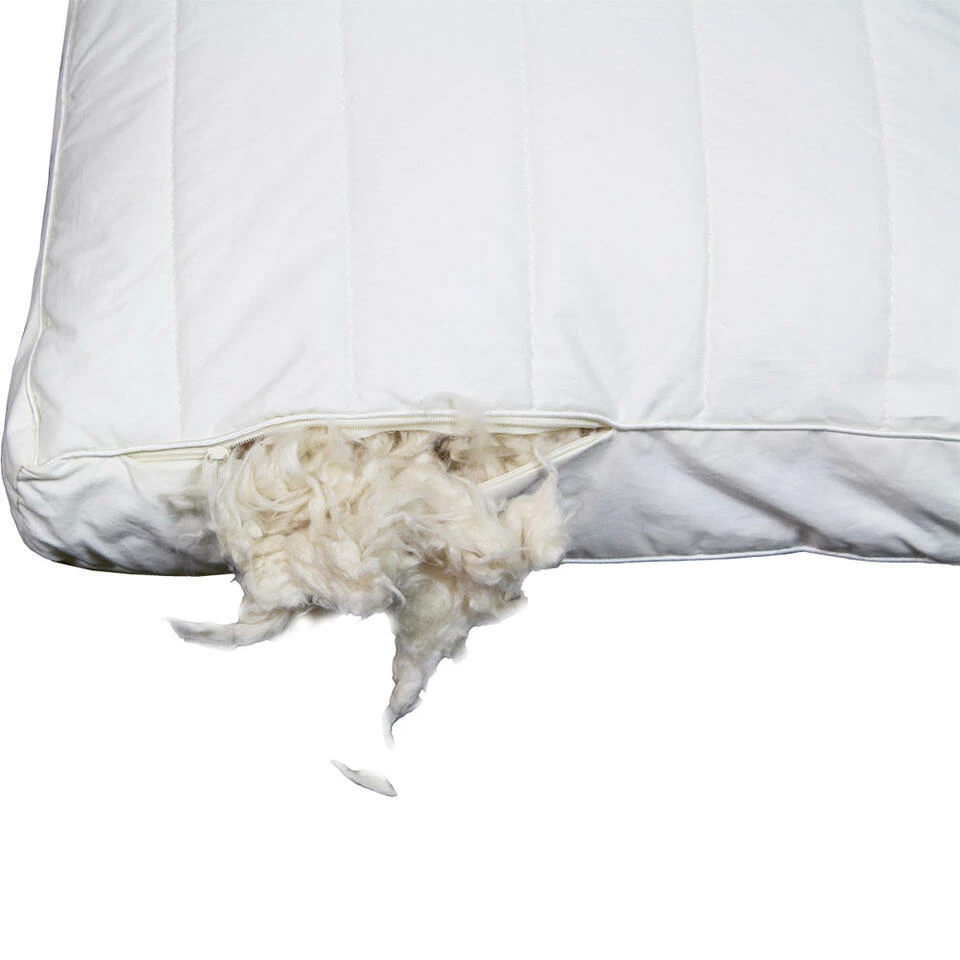 Polydaun Hoofdkussen First Kapok - 60x50 Cm 5 Polydaun Hoofdkussen First Kapok - 60x50 Cm - Afbeelding 3